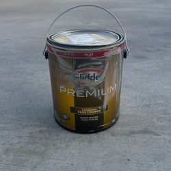 Grey Exterior Paint