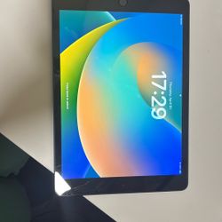 iPadOS 18.5