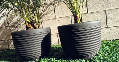 Terracotta 5 gallon planters 2 for $45 free delivery in SD