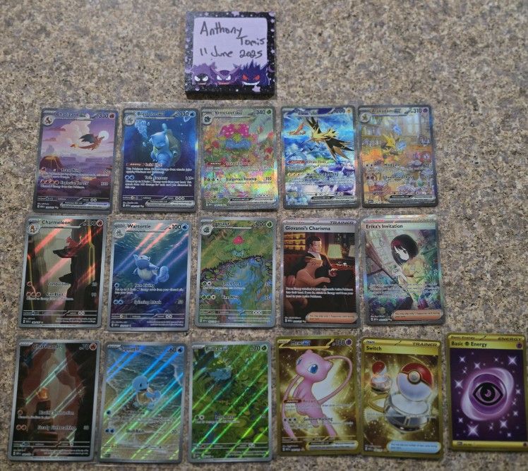 Massive Pokémon 151, Japanese 151, Terrestial Festival Lot