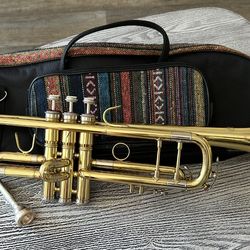 Trumpet with carry case in excellent condition, complete with mouthpiece. $80