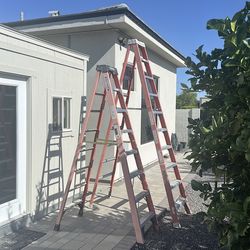 Werner & Louisville ladder