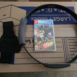 Nintendo Switch Ring Fit Adventure