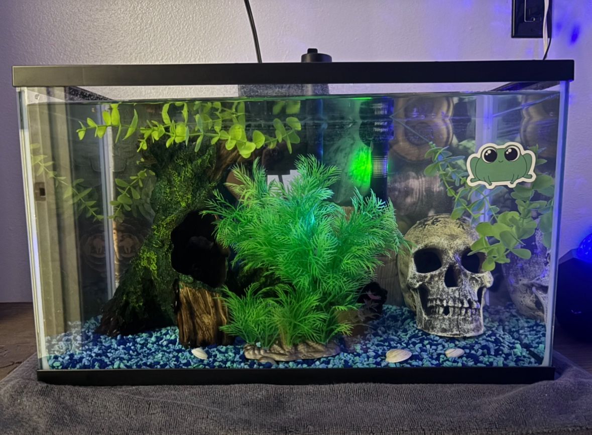 10 gallon Decked Out Fish Tank