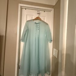 Vintage Warners Sheer Nightgown