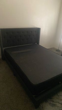 Queen size need gone asap