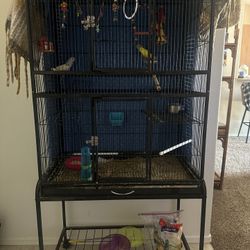 Bird Cage 