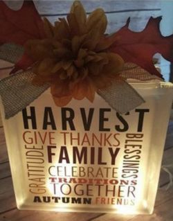 2- Brand New Decorative Crafting Glass Block. Read Description 