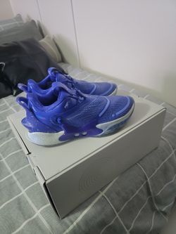 Nike Adapt  ($200)