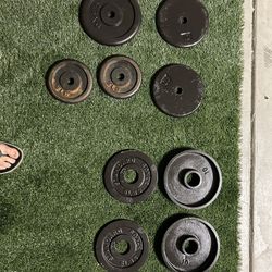 Weights / Plates