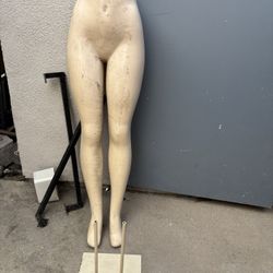 Free Mannequin