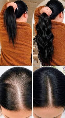 Shampoo orgánico