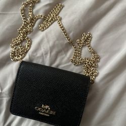 Wallet With Chain 