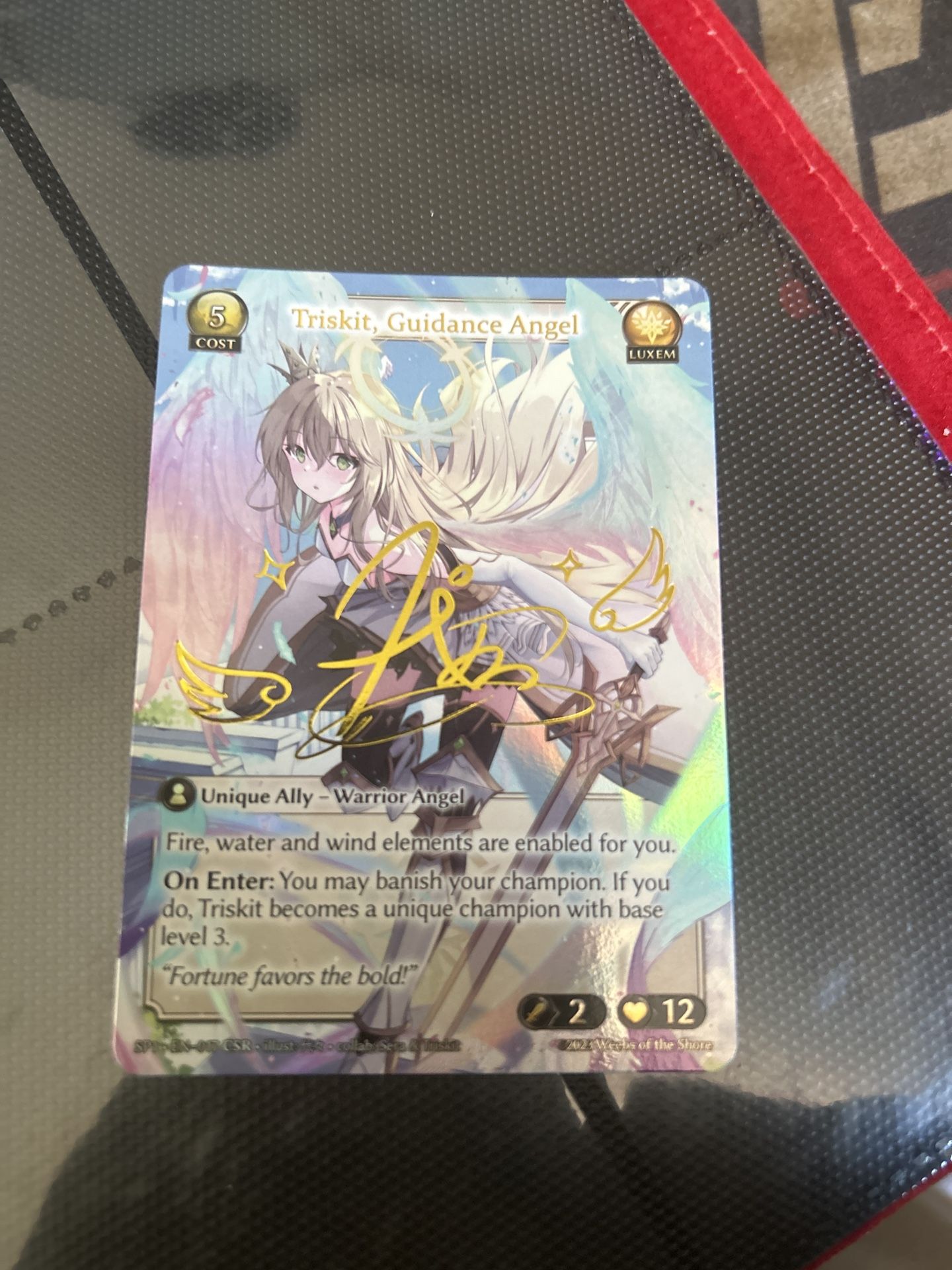 Triskit, Guidance Angel CSR グランドアーカイブ