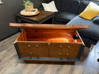 Vintage Lane MCM chest converter to cat enclosure litter box