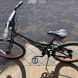 Trek 20 Inch Kids Bike