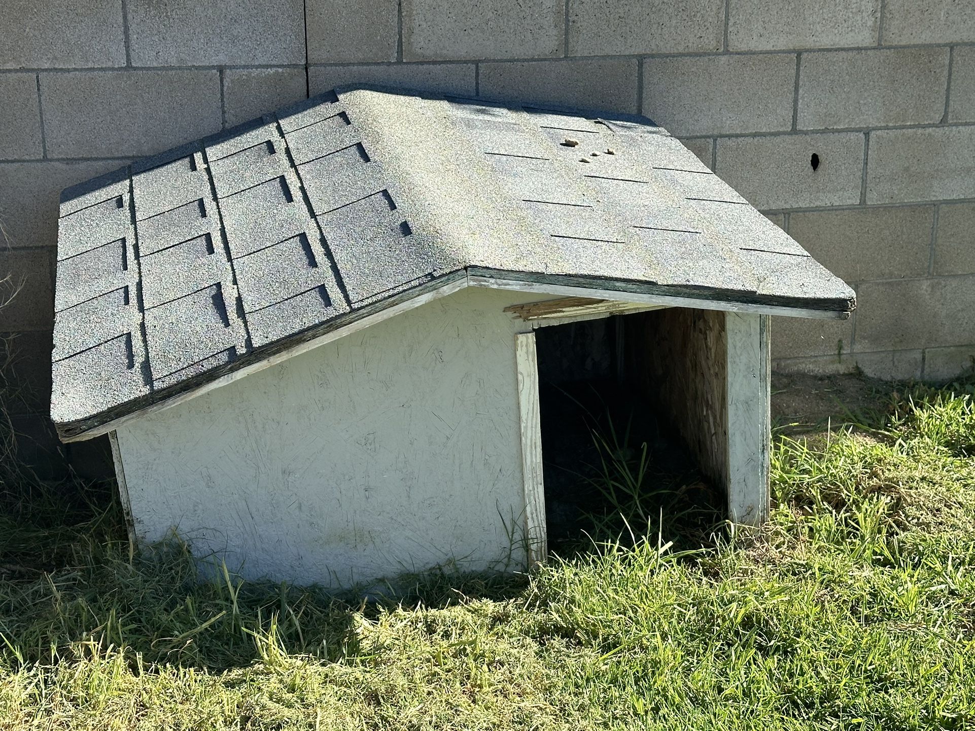 Dog House