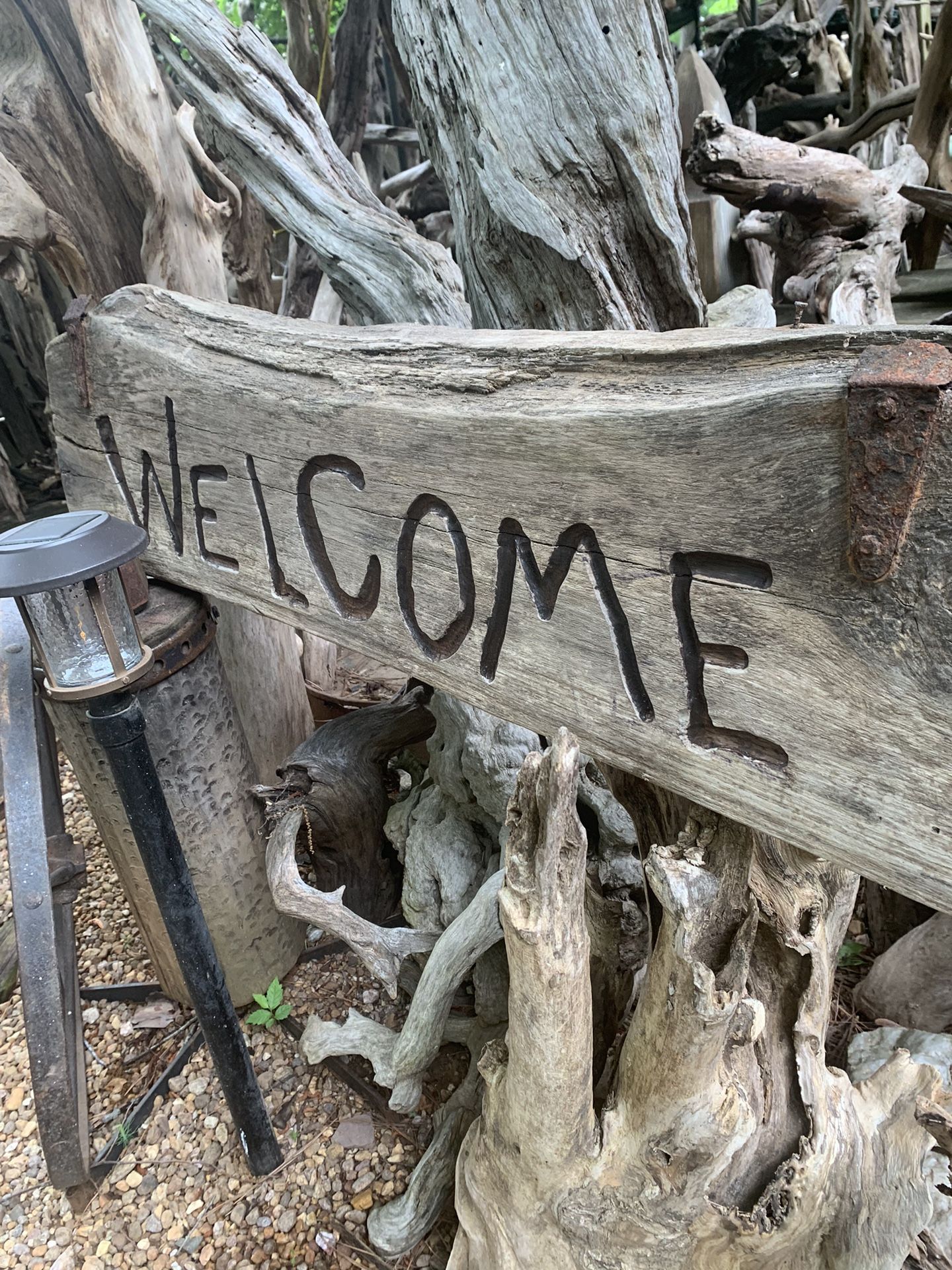Driftwood! Come out and shop the largest Driftwood selection in Georgia