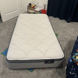 Twin Mattress & Box Spring 