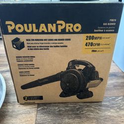 PoulanPro Air Tools 