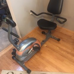 Recumbent Exercise Bike 