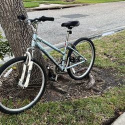 Diamond Back Lustre 1 Bike 