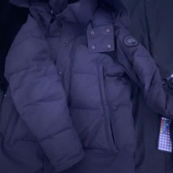 Grey Canada Goose Size Small