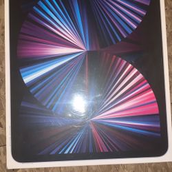 iPad Pro 11” 3rd Gen 256GB