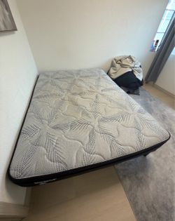 Free Queen Bed & Mattress – Adjustable Base Needs Repair