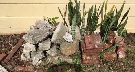 Garden Rocks & Red Bricks (FREE)