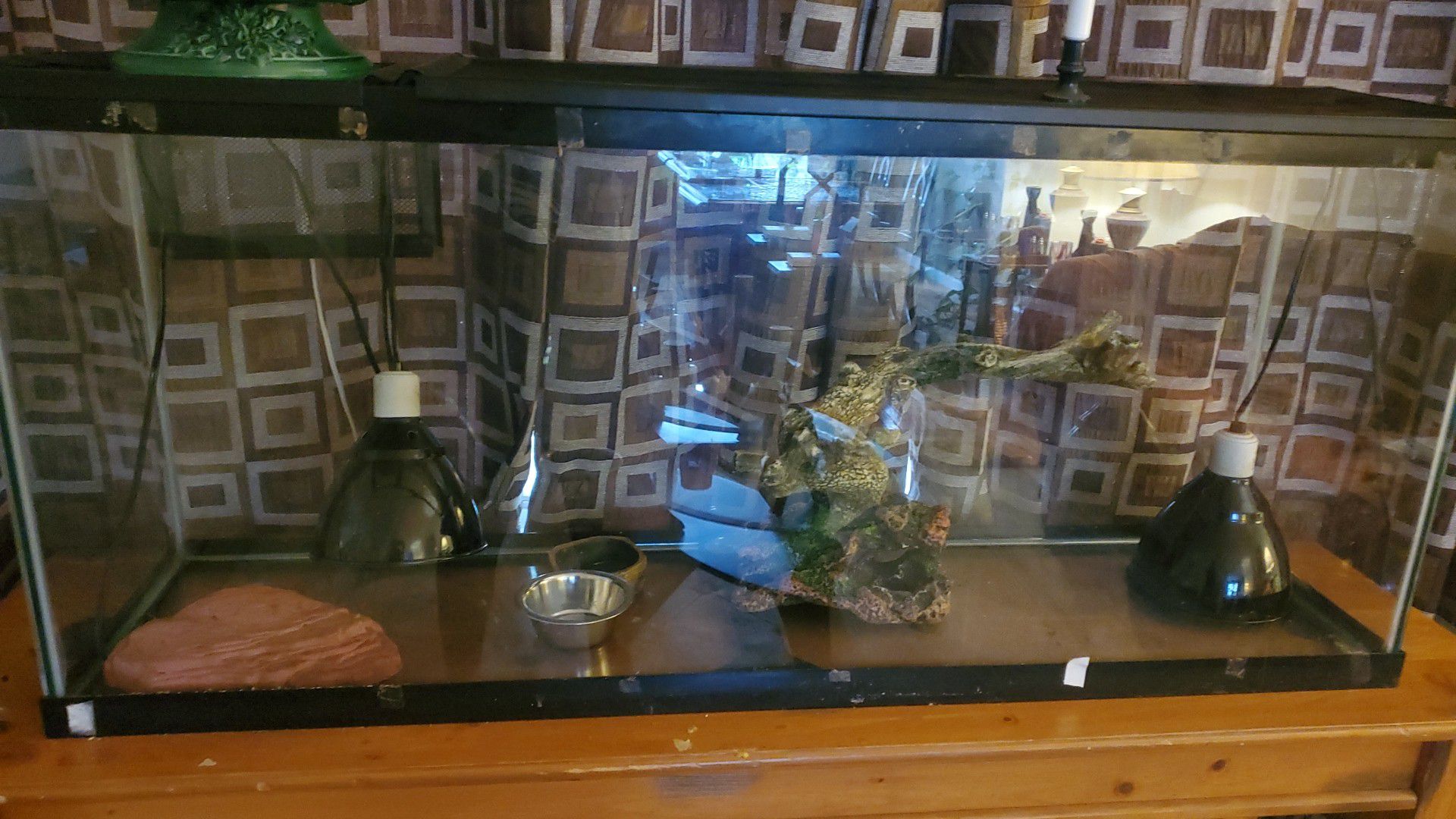 Reptile tank and accessories