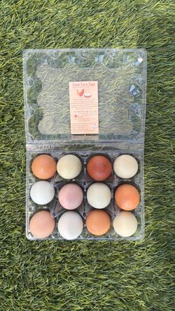 Fresh Farm Eggs – Dozen Mixed Colors