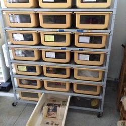 Reptile Rack