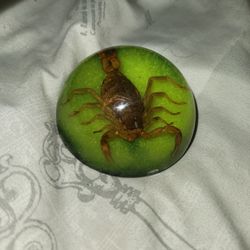 25 Golden Scorpion Dome Paperweight Green