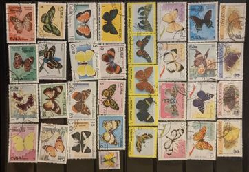 New Stamp Collection 