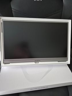 Portable monitor