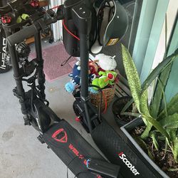 Dos Scooters ( Warrior Wolf Y Iscooter 10 Pro) Las 2 ; 1.100 $