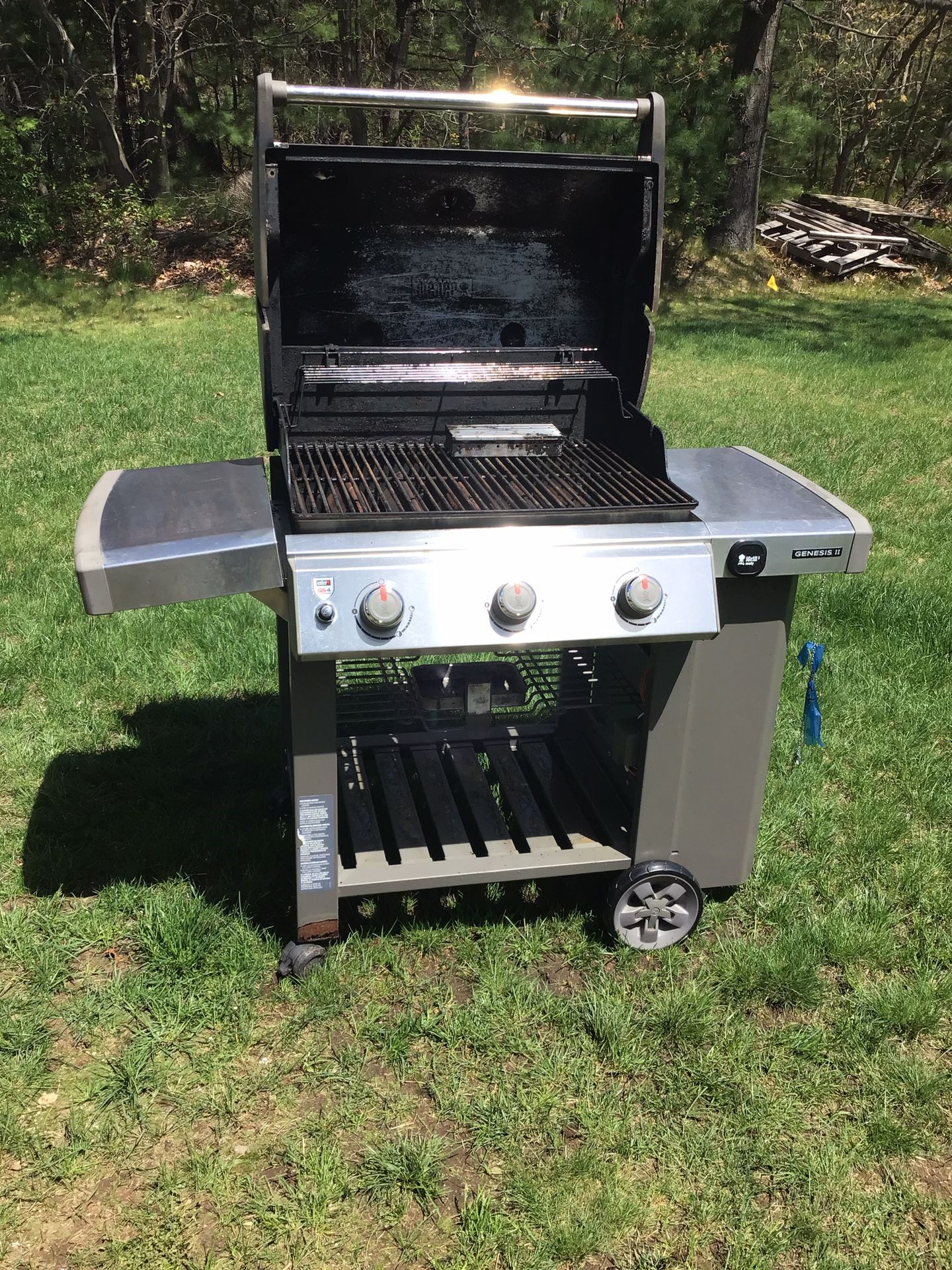 Weber Genesis II Gas Grill