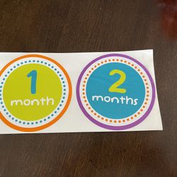 Moving Months Baby Monthly Stickers 