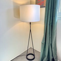 Visual Comfort Dauphine Floor Lamp in Aged Iron