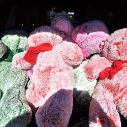 Big Teddy Bears $15 Each