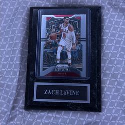 framed zach lavine