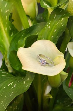 Silver Solitaire Moissanite Ring with Pavé Band