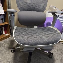 Ergonomic Office Chair With Footrest