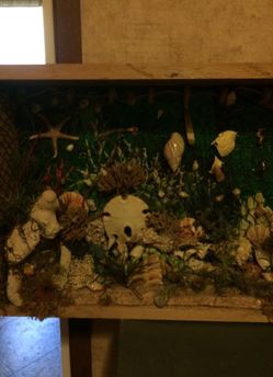 Marine life display box.