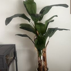 6 Ft Faux Banana Tree Plant