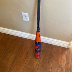 Baseball Bat