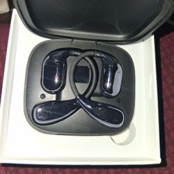 Translater Earbuds