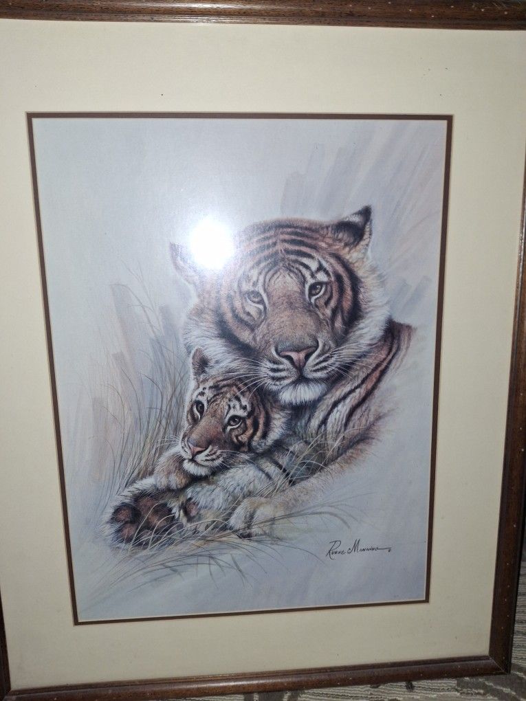 Original Guy Coheleach Print Collection