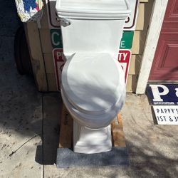 Elongated Toilet One Piece Plumbing 